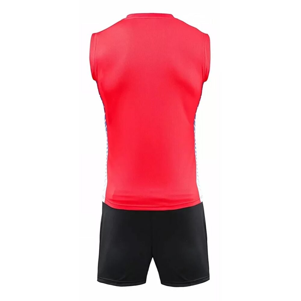 Alternative view of Volley ball